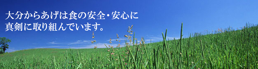 safety01
